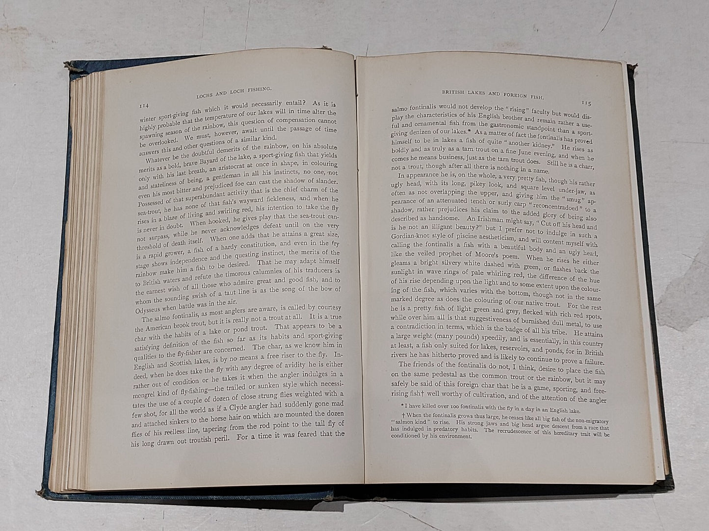 "Lochs and Loch Fishing" by Hamish Stuart 1899 edition4