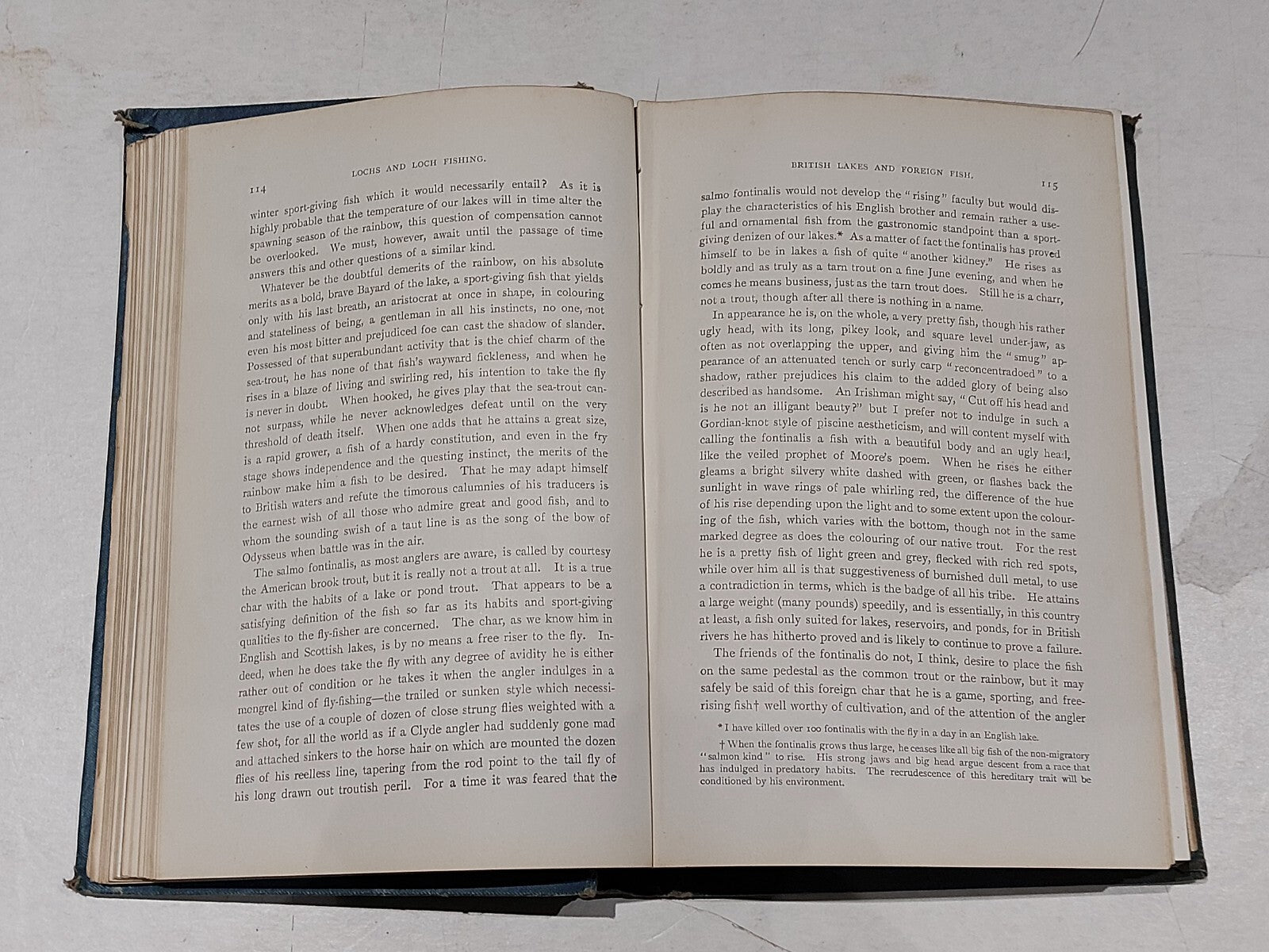 "Lochs and Loch Fishing" by Hamish Stuart 1899 edition4