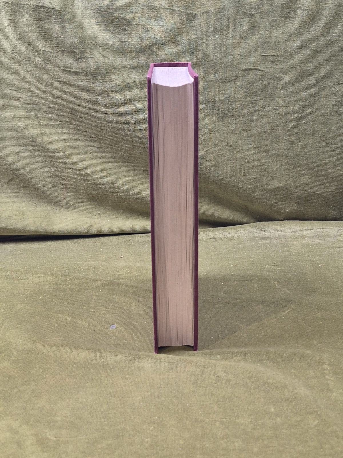 The Influence Of Man On Animal Life In Scotland - James Ritchie, Cambridge 19207