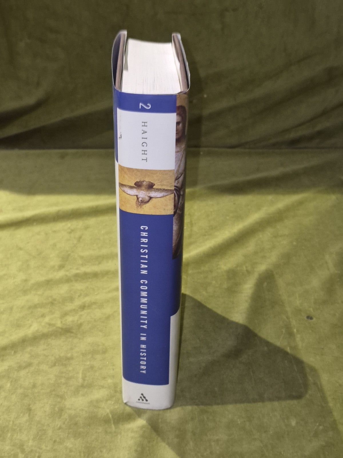 Christian Community in History: Volume 1: Historical Ecclesiology Roger D Haight2