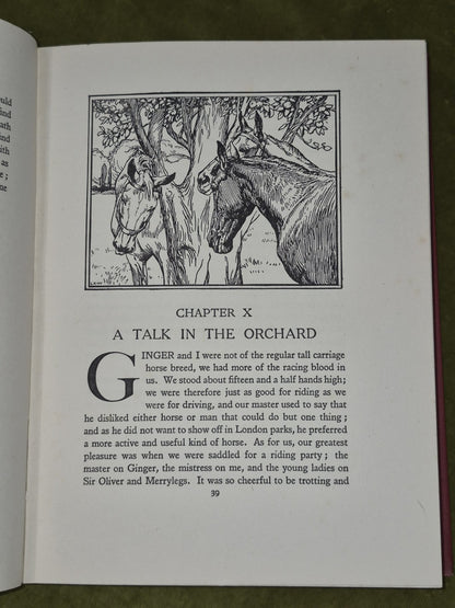 Black Beauty Lucy Kemp-Welch Anna Sewell 1926 Second Reprint Dustjacket 11