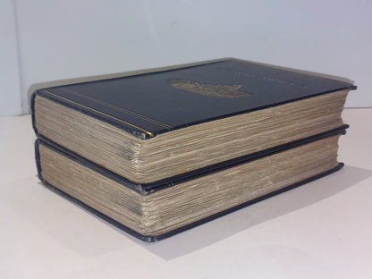 Ave Roma Immortalis By F. Marion Crawford (1899) [Macmillan & Co] 2 Volume Set9