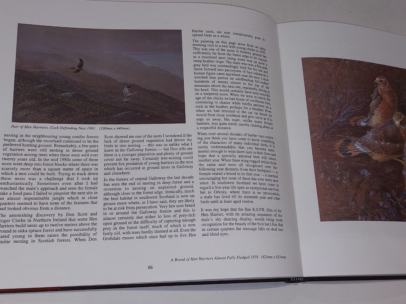 Donald Watson - One Pair of Eyes - Limited 188/1000 & Signed (1994) Hb with Dj9