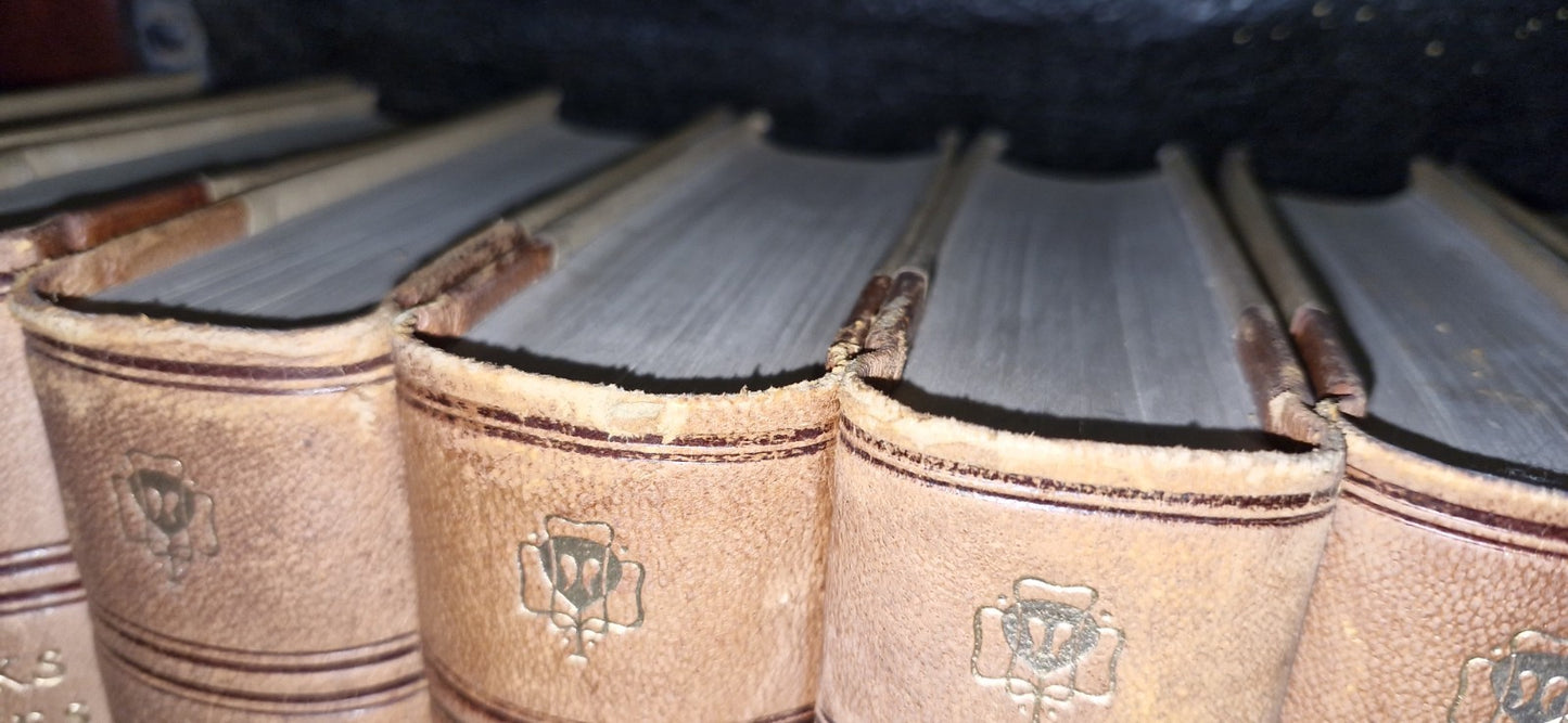 THE WORKS OF CHARLES DICKENS - 20 Volume Set In Leather GRESHAM 1912 VGC7