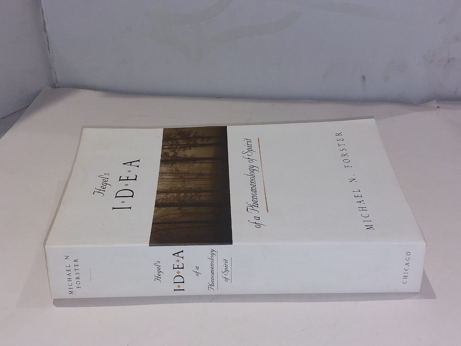 Hegel's Idea of a Phenomenology of Spirit by Michael Forster (1998) Pb1
