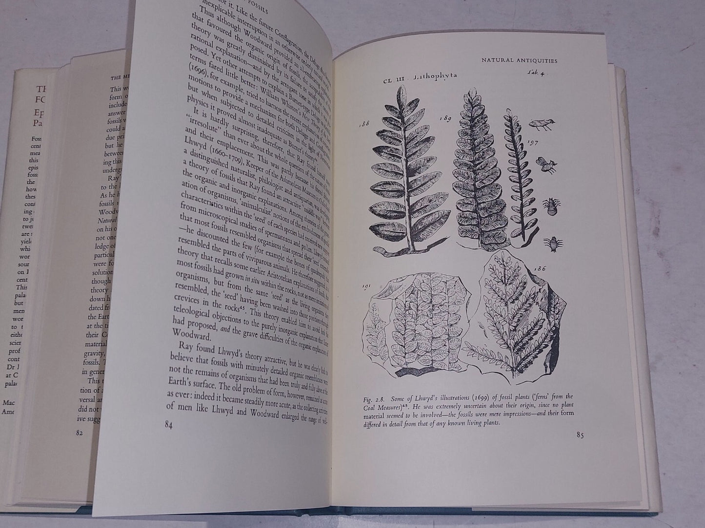 meaning of fossils: Episodes in the history of palaeontology, Rudwick (1972) Hb 6