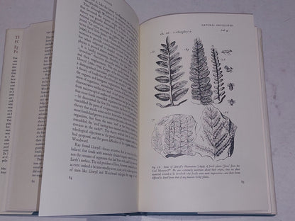 meaning of fossils: Episodes in the history of palaeontology, Rudwick (1972) Hb 6