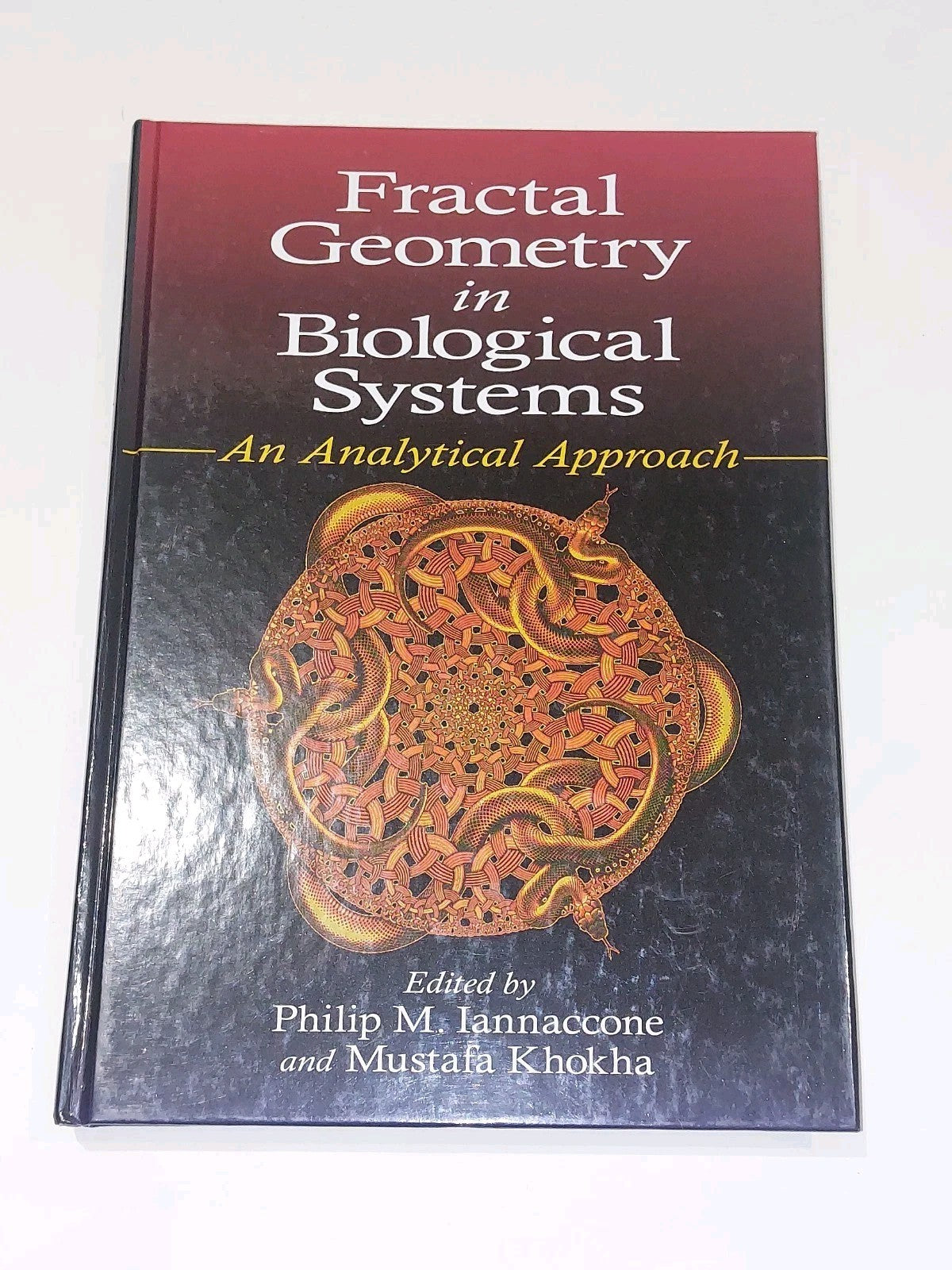 Fractal Geometry in Biological Systems: An Analytical Approach by Iannaccone0