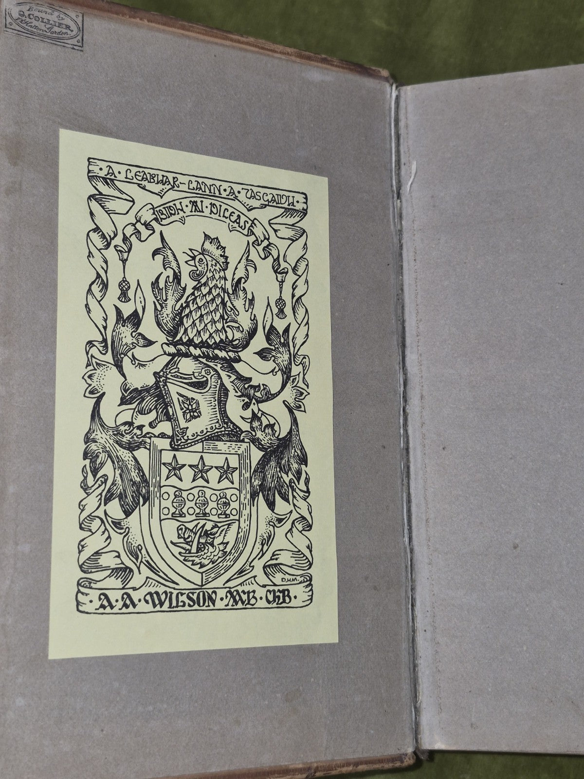 Biobull T-Seann Tiomnaidh 1828 London Gaelic Albannaich5