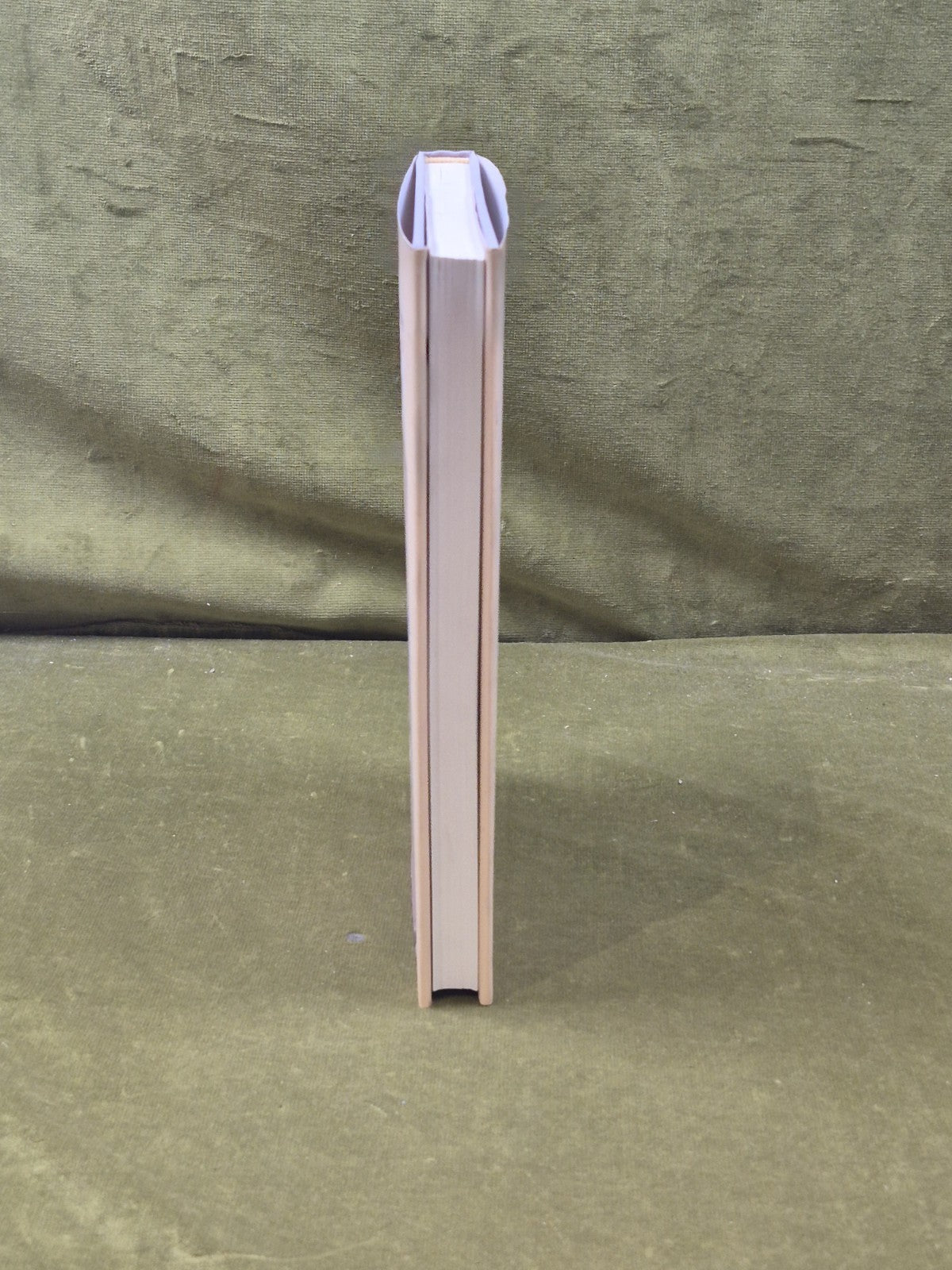 THE WORLD OBSERVED THE WORLD CONCEIVED - Hans Radder , Pittsburgh 2006 1st HB DJ6