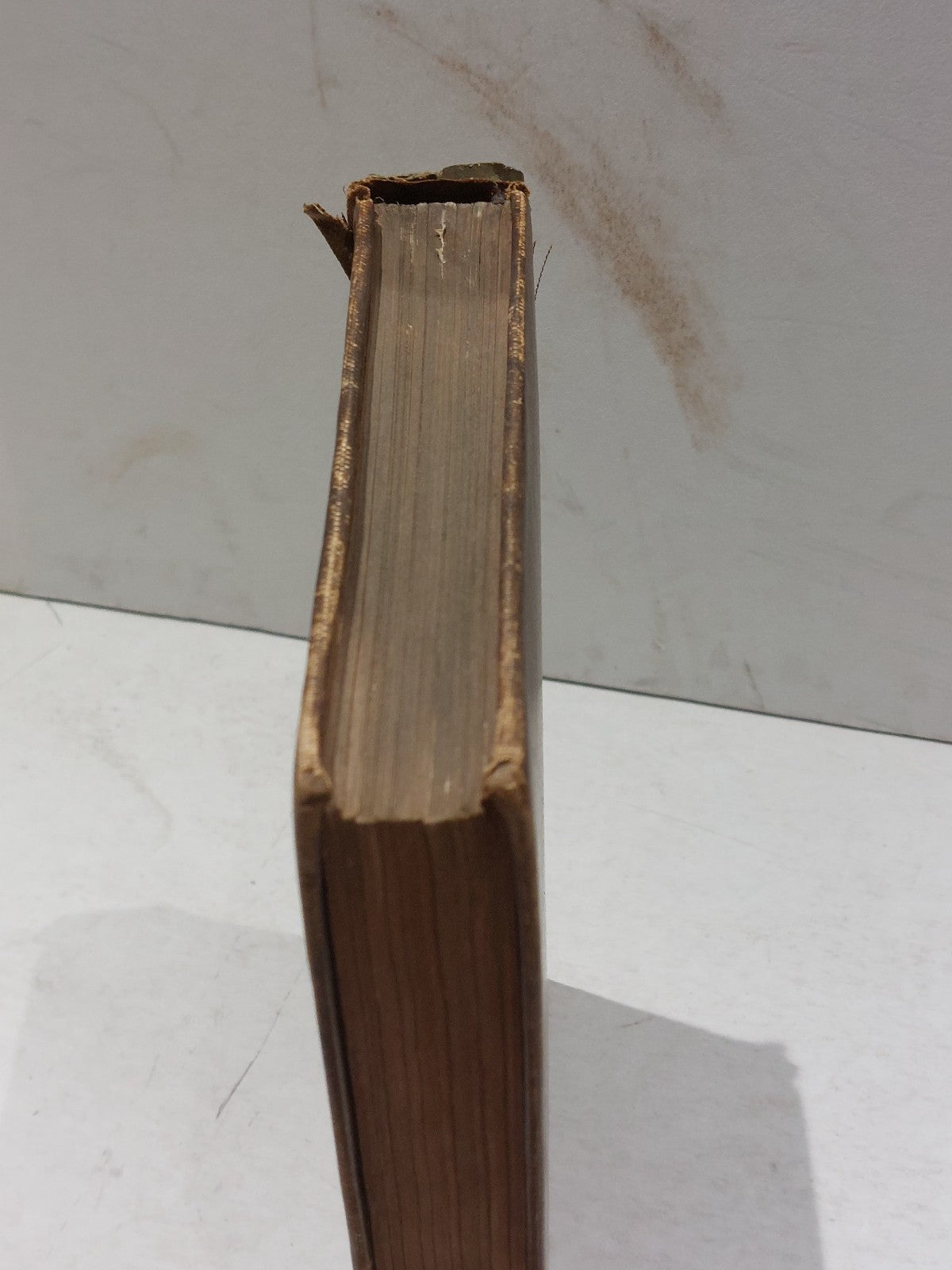 Die Naturlichen pflanzenfamilien By Engler & Pratl (1895) Hb Book1