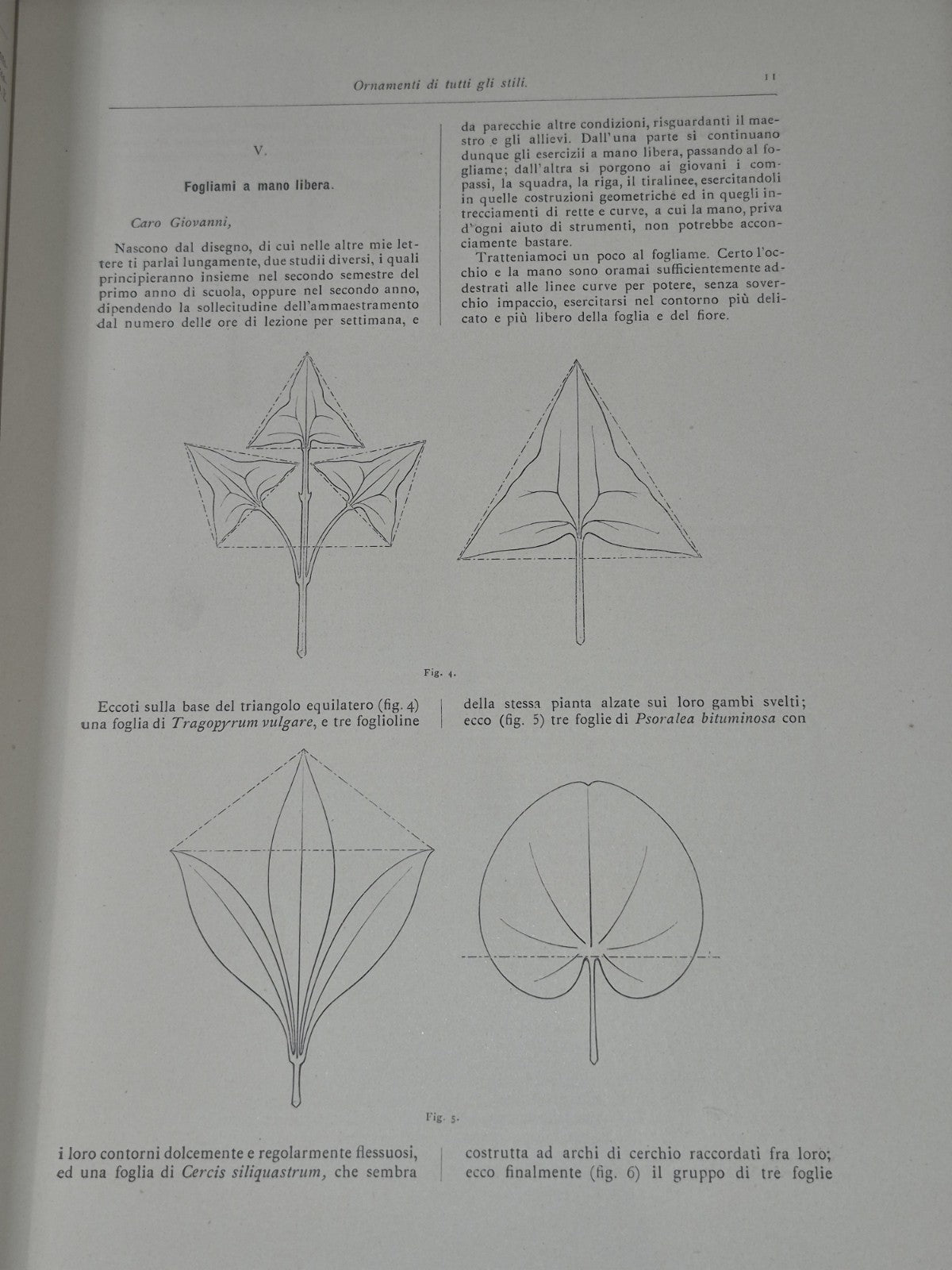 Ornamenti di tutti gli stili classificati in ordine storico 1881 Hoepli Boito8