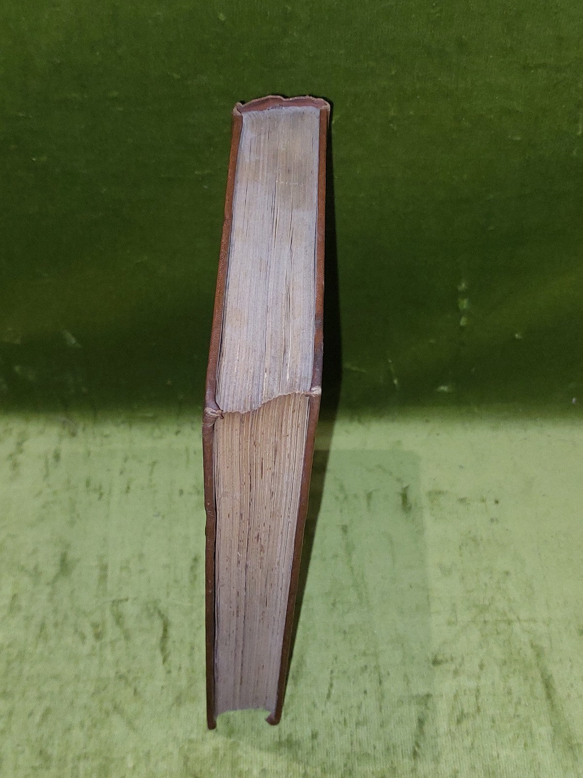 Extinct Monsters  Rev H N Hutchinson (1897) [Chapman & Hall] 5th Ed Hb Book1