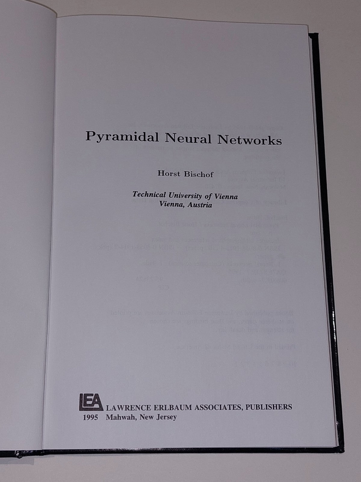 Pyramidal Neural Networks by Horst Bischof (1995, Hardcover)3