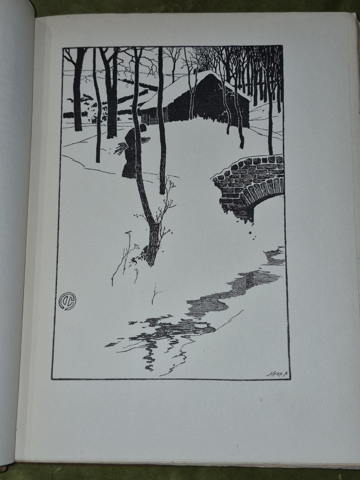 The Evergreen A Northern Seasonal Part IV - Winter 1986-7 Patrick Geddes11