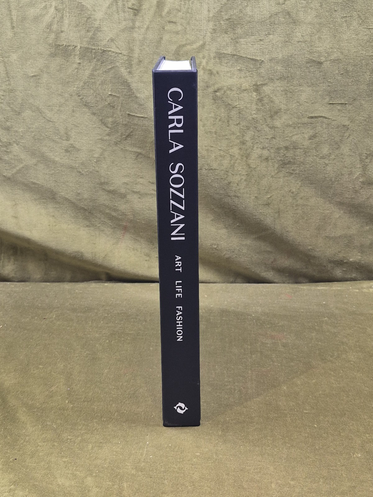 Carla Sozzani Art, Life, Fashion by Louise Baring , Thames & Hudson 20242