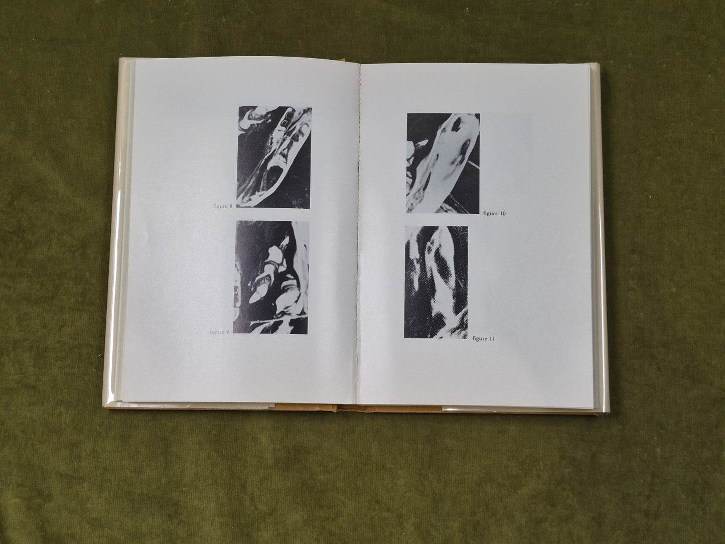 The Clam-Plate Orgy - Wilson Bryan Key , Prentice Halll 1980 1st/2nd 1980 Ex Lib7