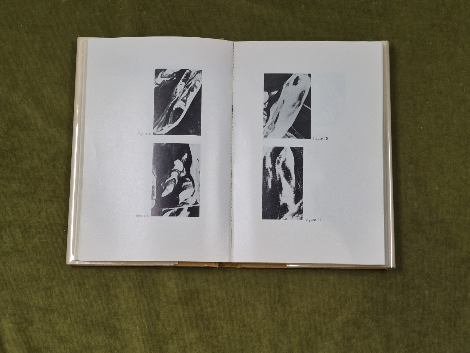 The Clam-Plate Orgy - Wilson Bryan Key , Prentice Halll 1980 1st/2nd 1980 Ex Lib7