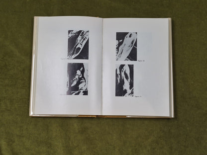 The Clam-Plate Orgy - Wilson Bryan Key , Prentice Halll 1980 1st/2nd 1980 Ex Lib7