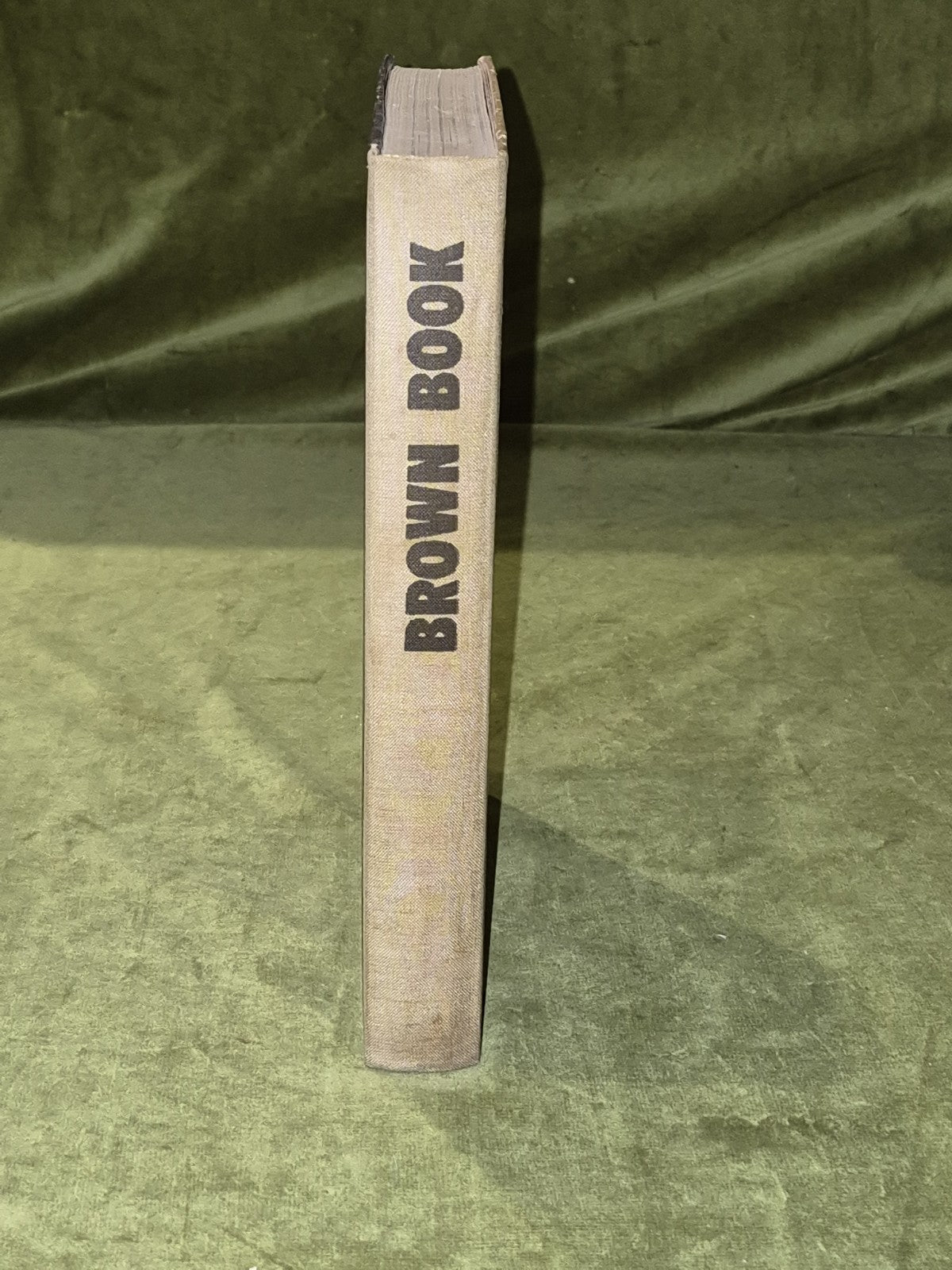 Brown Book: War and Nazi Criminals in West Germany2