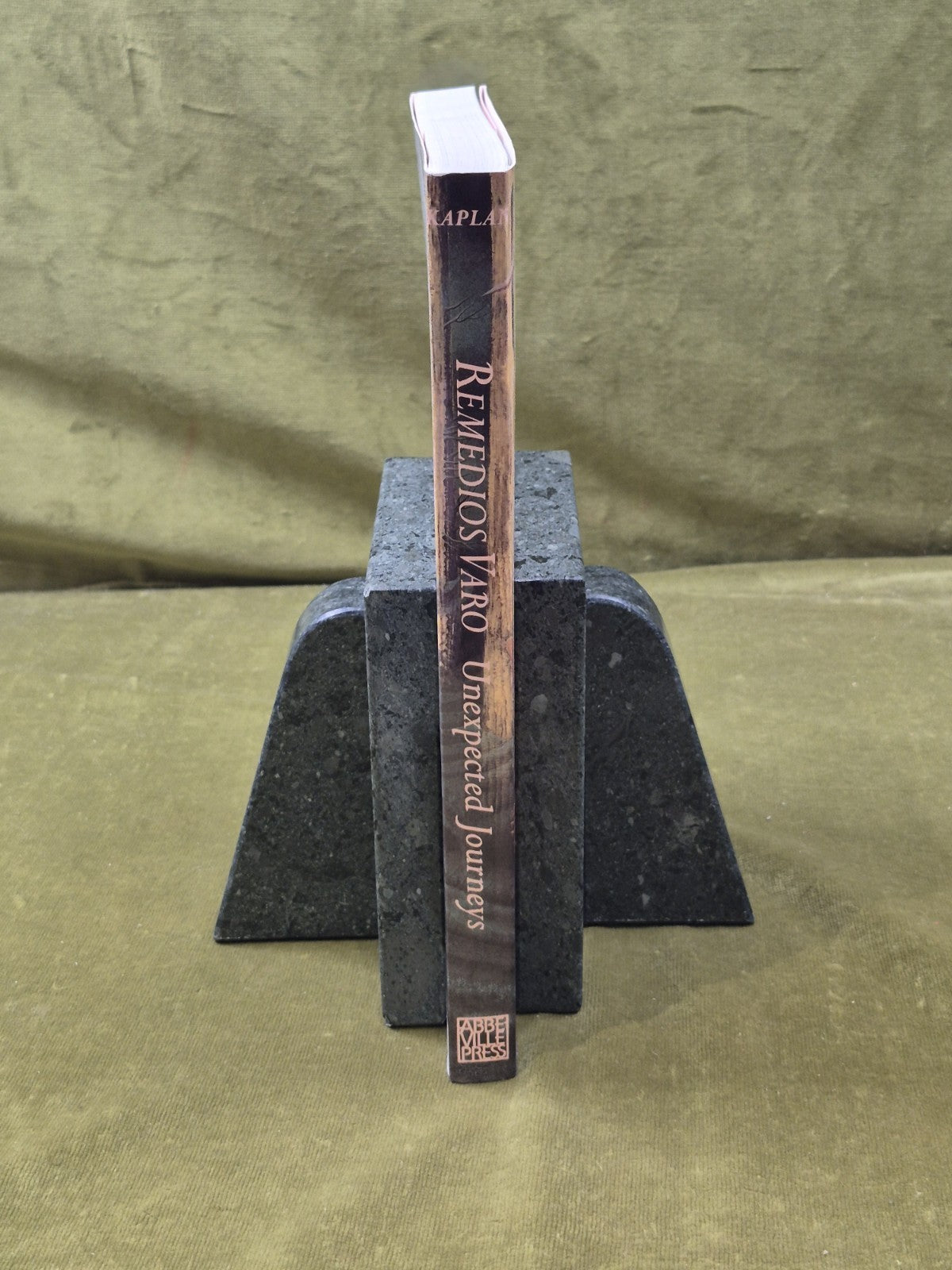 Remedios Varo : Unexpected Journeys - Janet Kaplan , Abbeville 2000 1st PB2