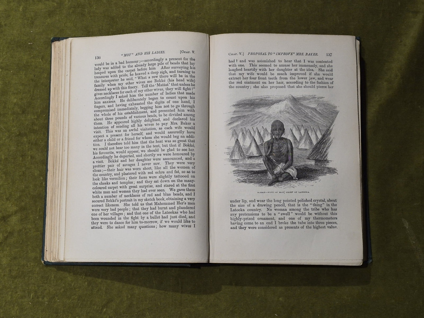 The Albert N'yanza Great Basin of the Nile and Explorations of the Nile Sources5