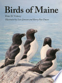 Birds of Maine