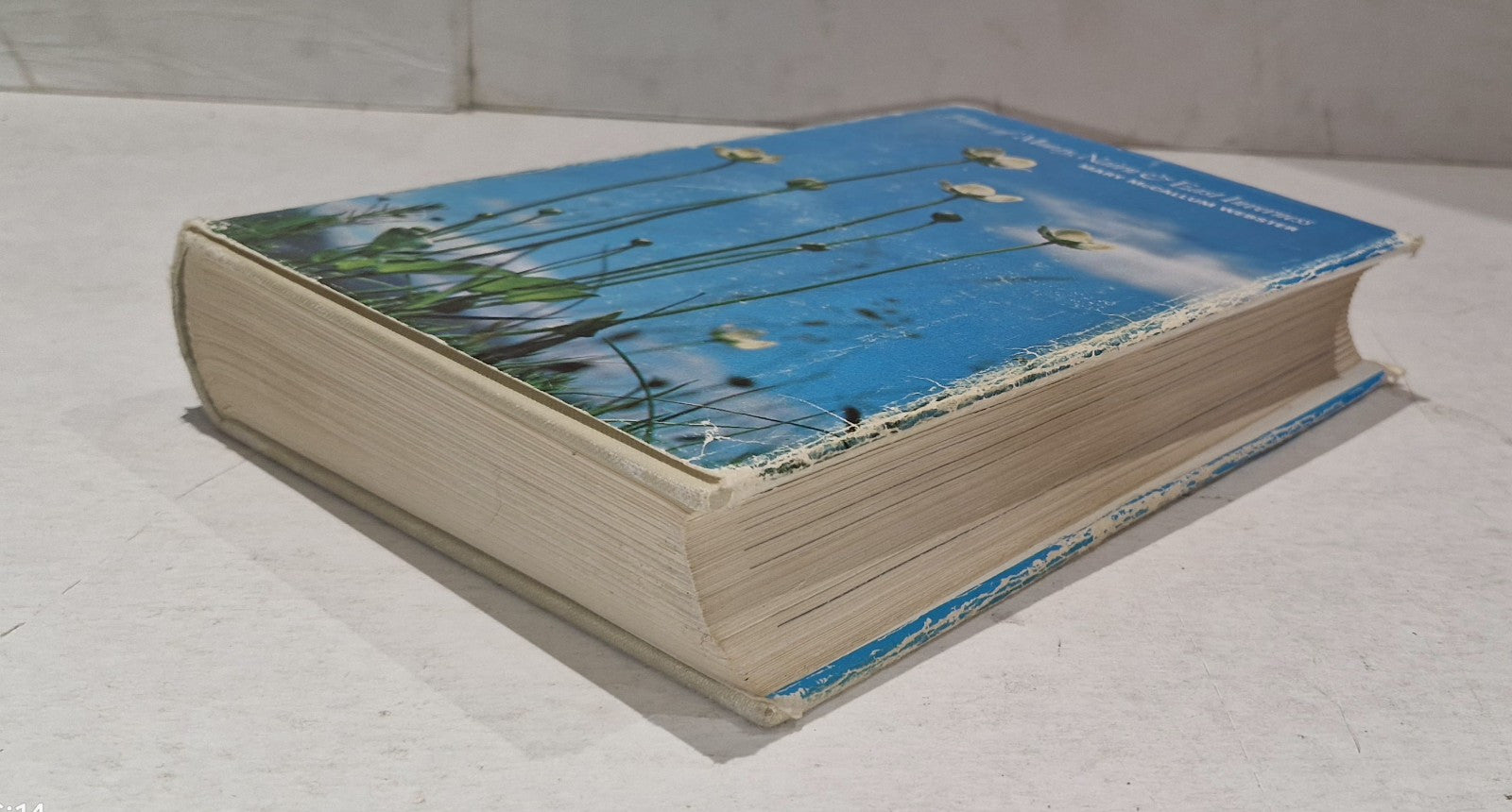 Flora of Moray, Nairn & East Inverness By Mary McCallum Webster (1978) Hb Book7