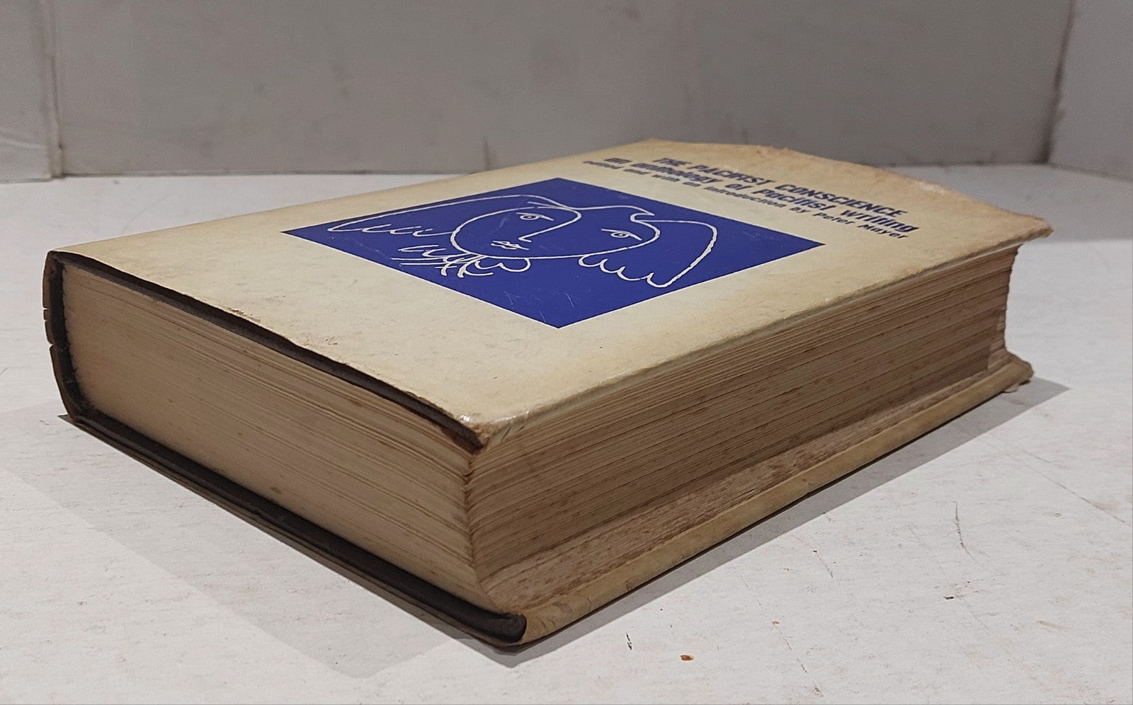 The Pacifist Conscience / Edited by Peter Mayer (1966) First Edition Hb Book8