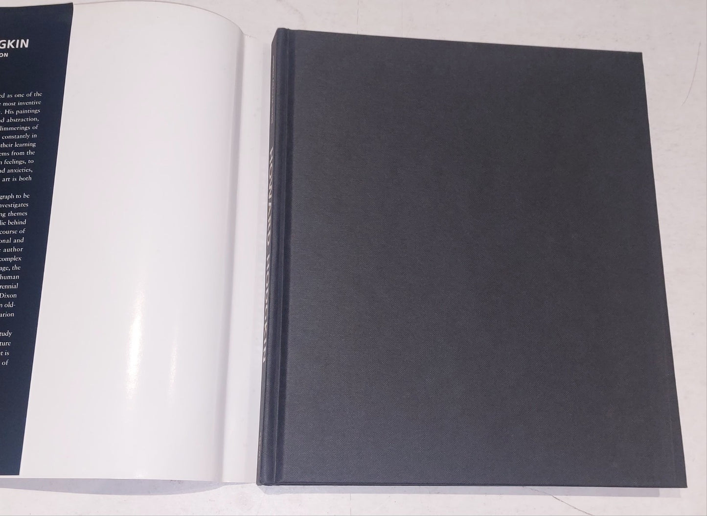  Howard Hodgkin by Andrew Graham-Dixon (1994, hardback)3