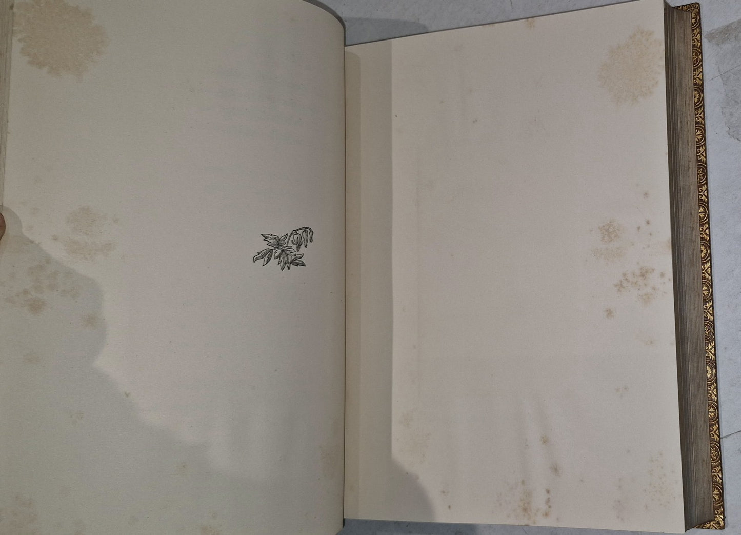 Poems And Letters By Thomas Gray 1879 Leather Illustrated Gold Tooling Fine Bind9