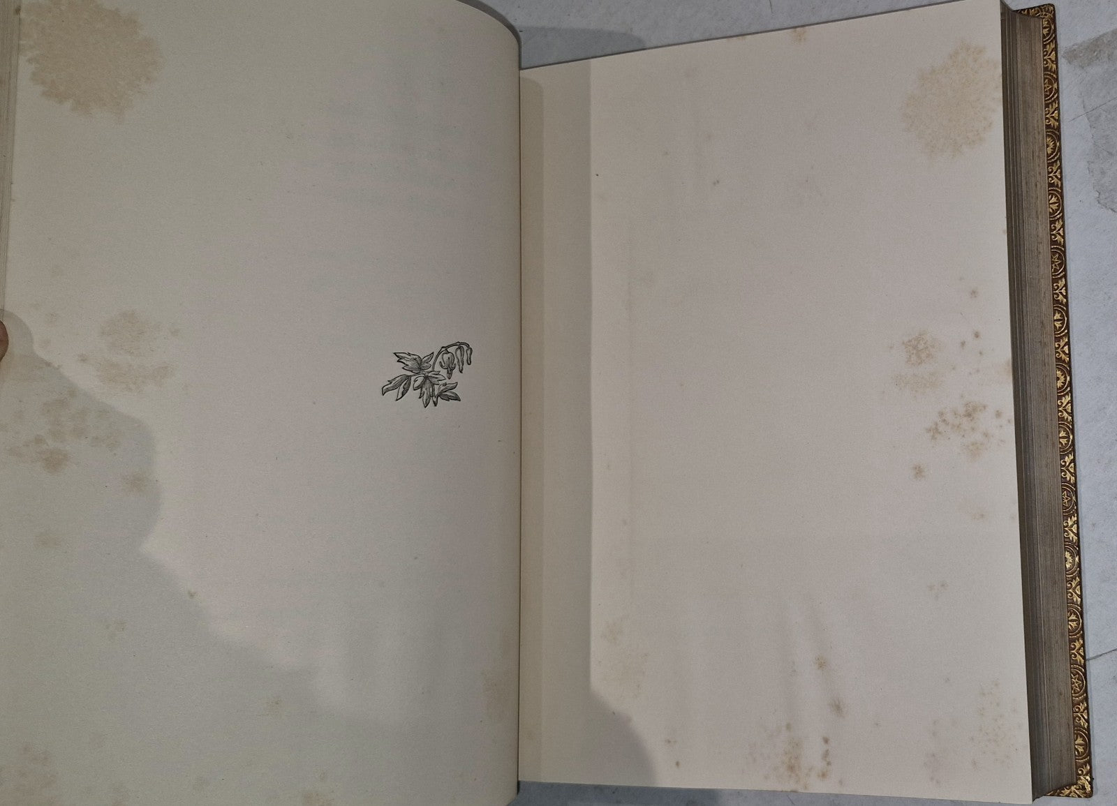 Poems And Letters By Thomas Gray 1879 Leather Illustrated Gold Tooling Fine Bind9