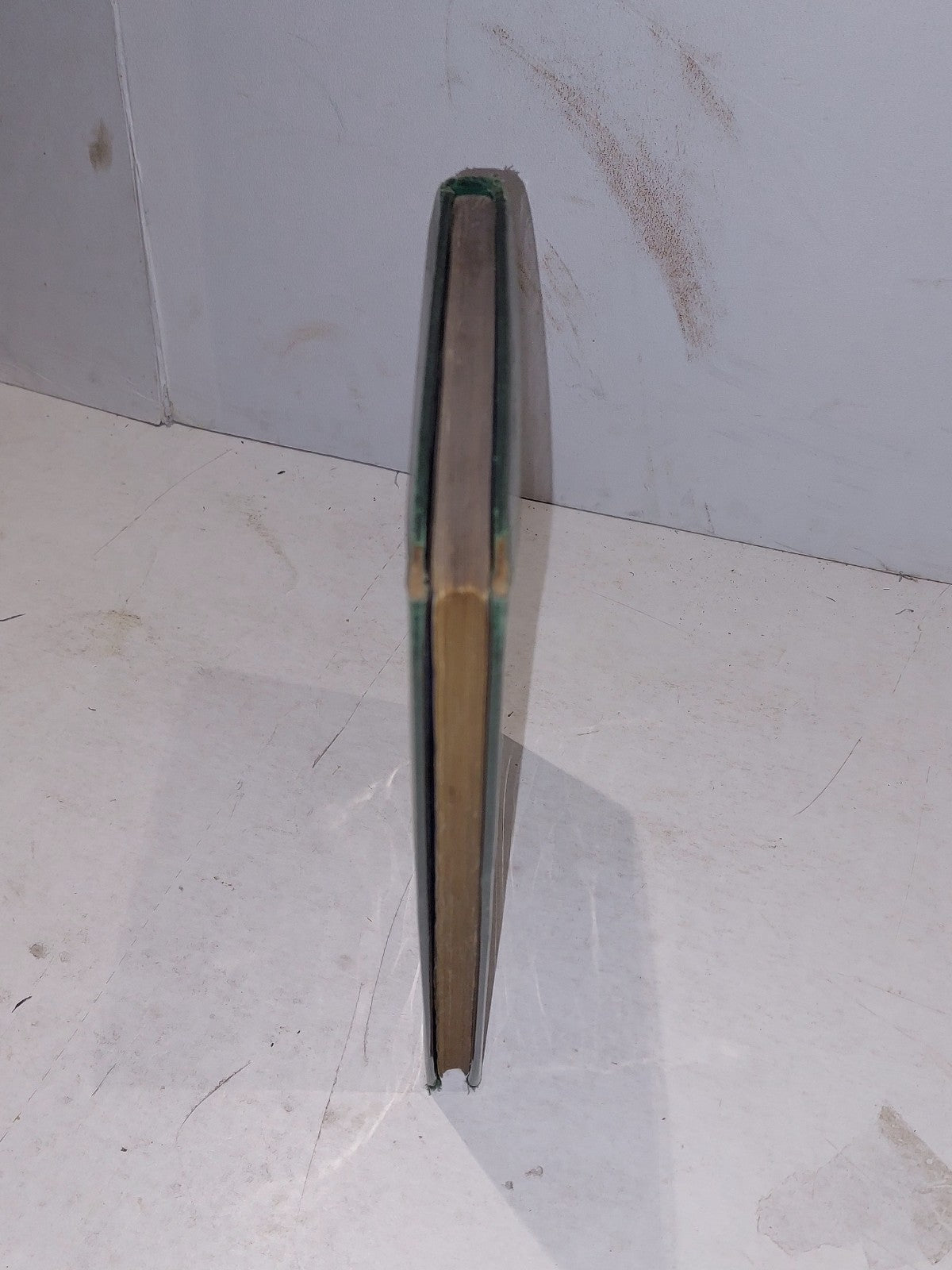 Ethnological Studies among the NorthWestCentral Queensland Aborigines 1st Ed1