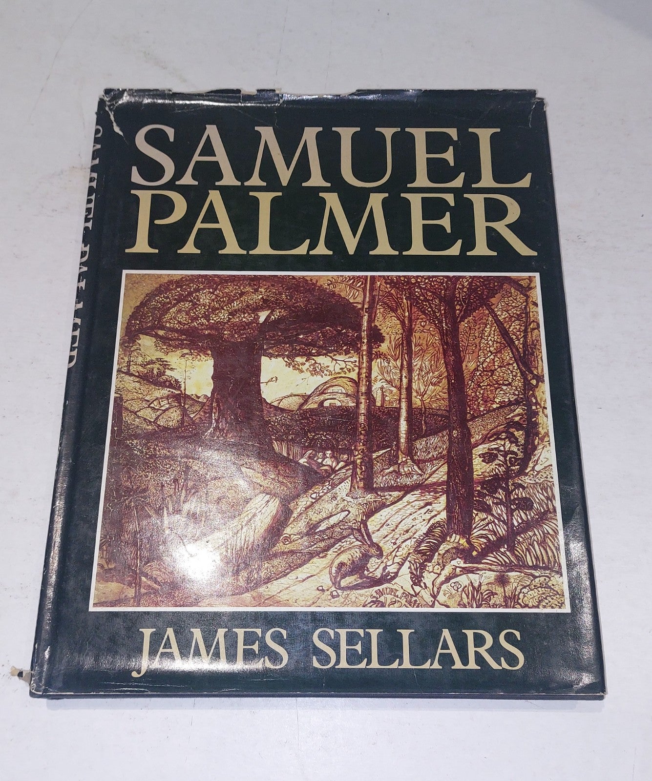 Samuel Palmer by James Sellars HB DJ Illustrated 19740