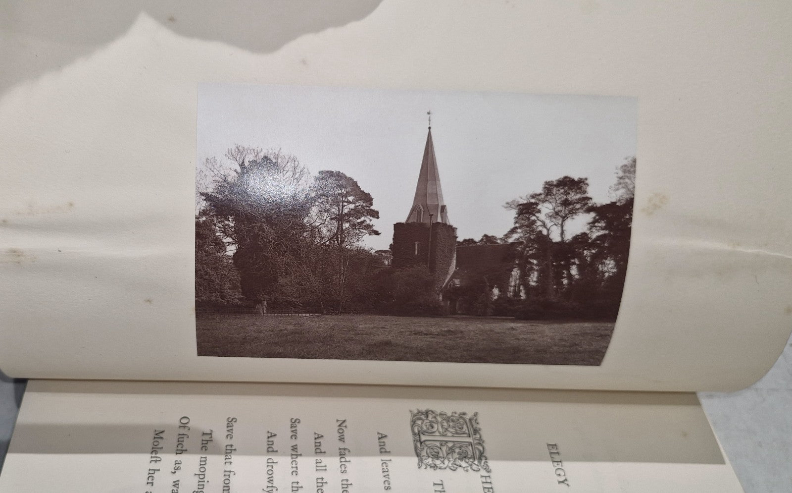 Poems And Letters By Thomas Gray 1879 Leather Illustrated Gold Tooling Fine Bind7