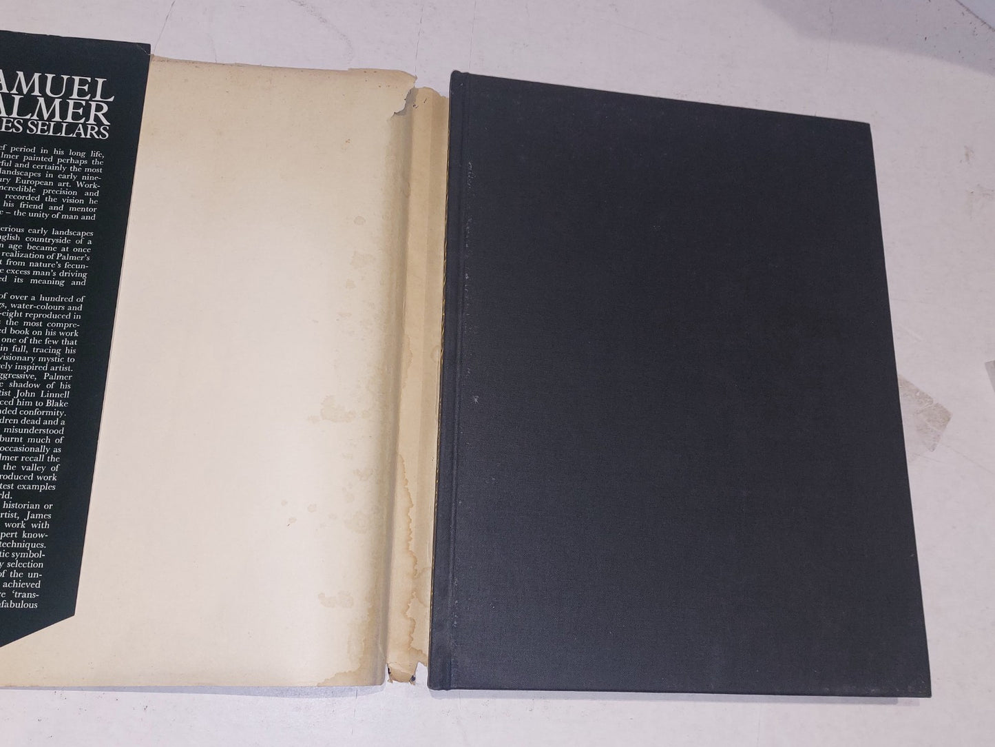 Samuel Palmer by James Sellars HB DJ Illustrated 19744