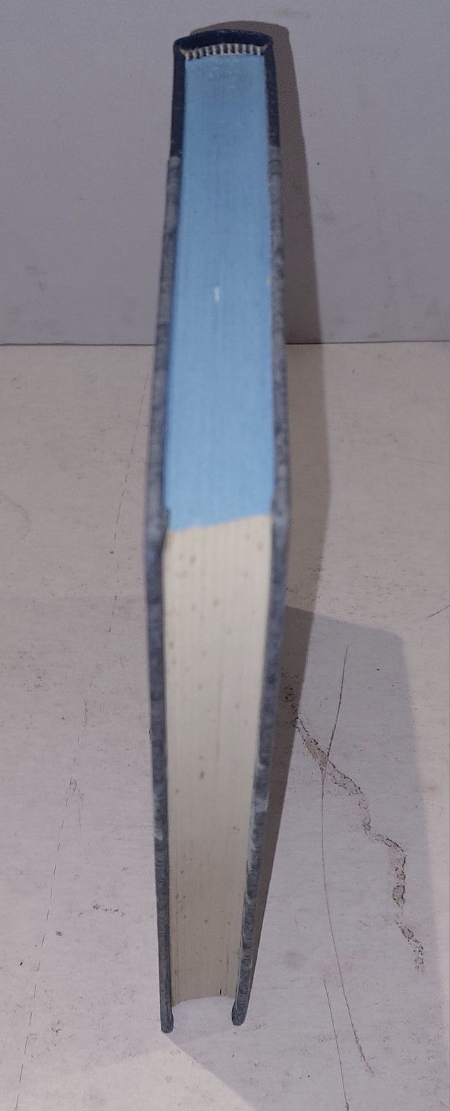 Building the Emergency Fleet (Macdonald Maritime History Series), Mattox, W.C.,1