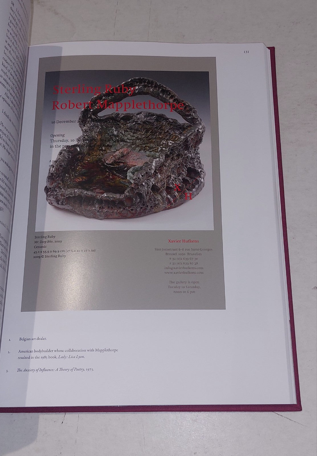 Mapplethorpe x 7 by Richard Flood (2011) Hb Book MX76