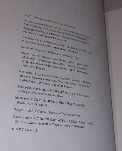 Walter Benjamin Reimagined By Francis Cannon Hb Book2