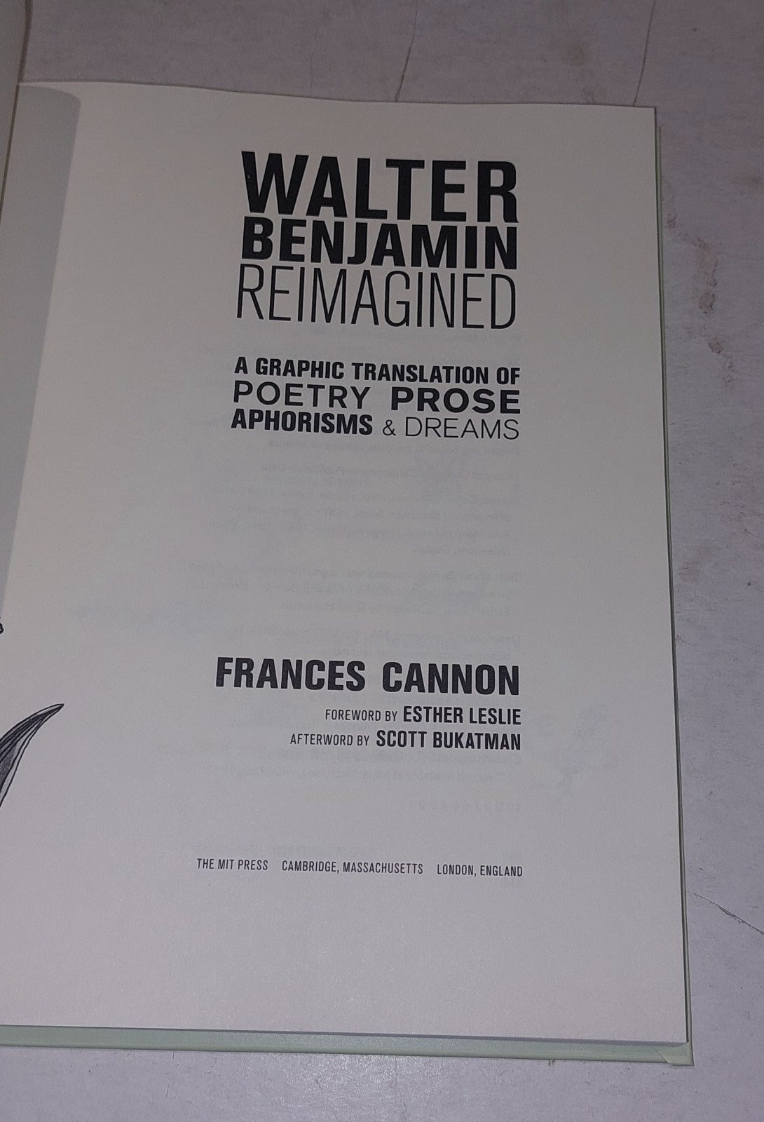 Walter Benjamin Reimagined By Francis Cannon Hb Book1