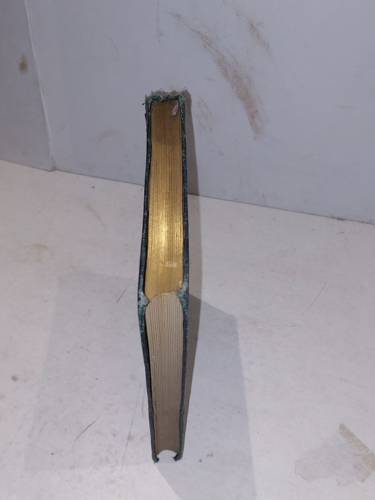 Register of the diocesan synod of Dunblane 16621688 Pub. 1877  John Wilson.1