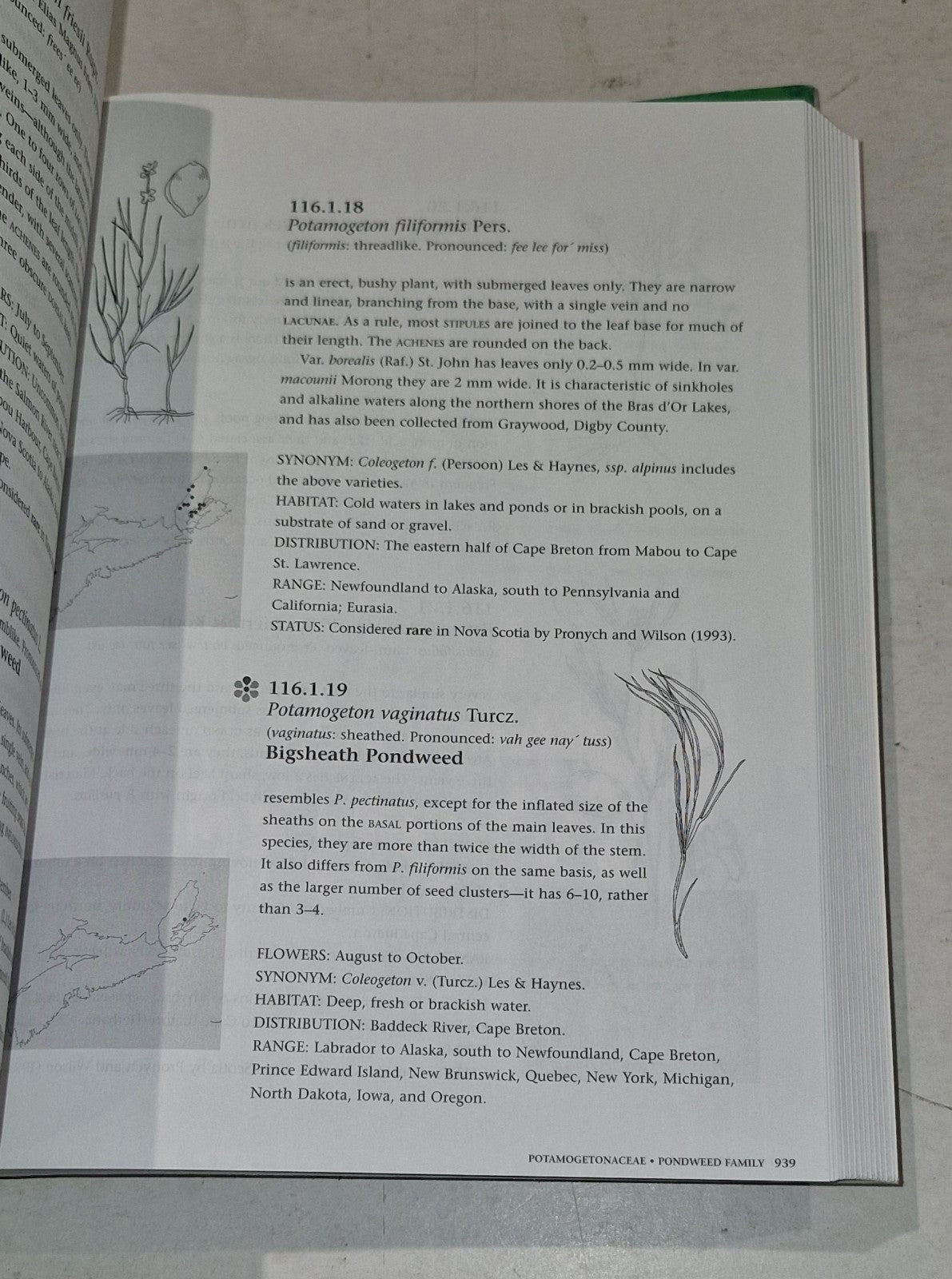 Roland's Flora of Nova Scotia Volume 1 & 2 by Marian Zinck Pb Book8