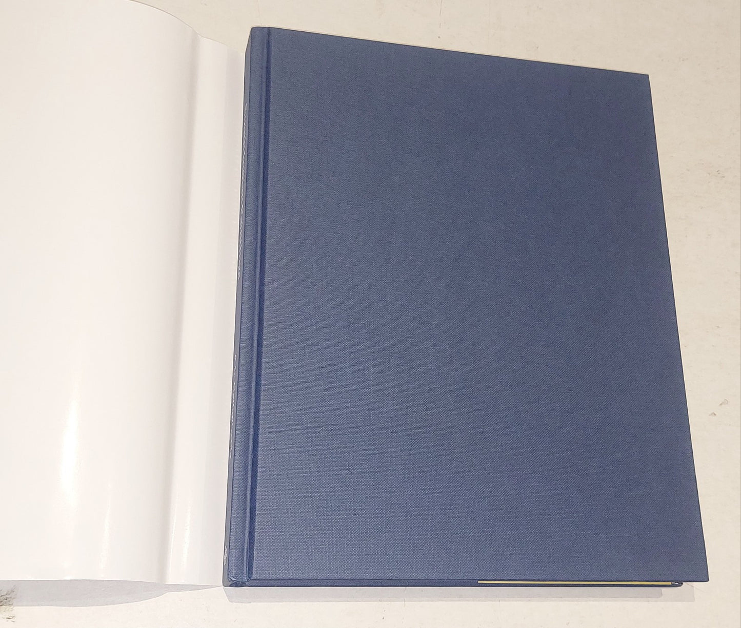 Anna L Dallapiccola / South Indian Paintings Catalogue of the British Museum Hb1