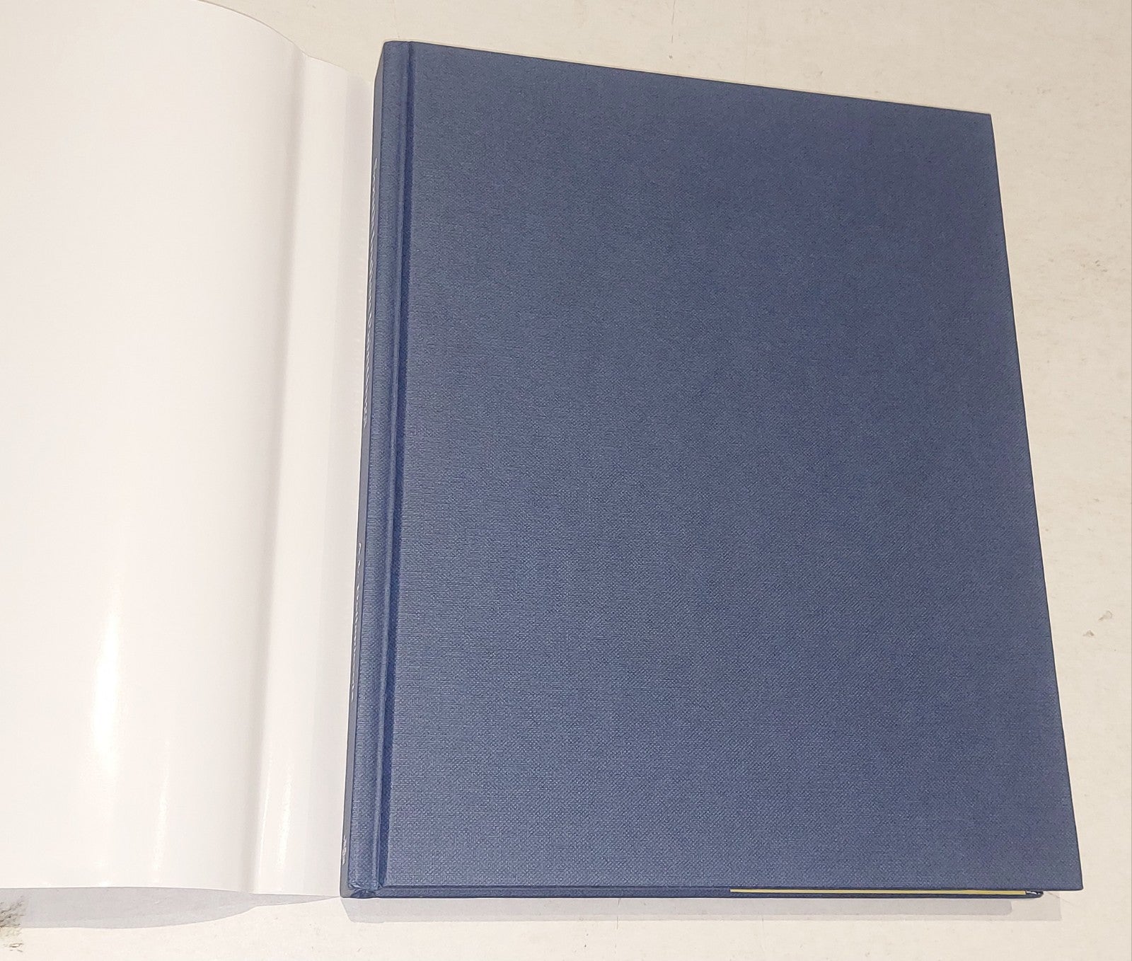 Anna L Dallapiccola / South Indian Paintings Catalogue of the British Museum Hb1