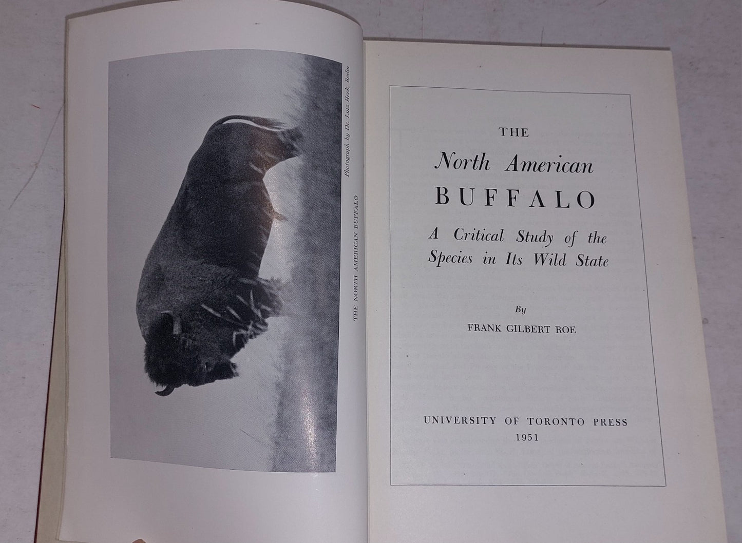 THE NORTH AMERICAN BUFFALO  Frank Gilbert Roe  1951  1st edition 3