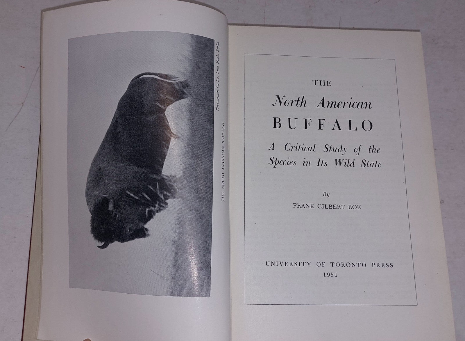 THE NORTH AMERICAN BUFFALO  Frank Gilbert Roe  1951  1st edition 3
