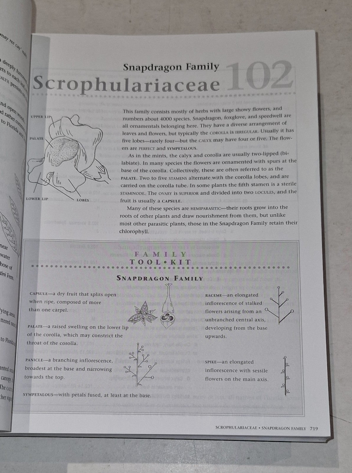 Roland's Flora of Nova Scotia Volume 1 & 2 by Marian Zinck Pb Book7