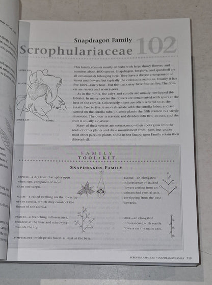 Roland's Flora of Nova Scotia Volume 1 & 2 by Marian Zinck Pb Book7