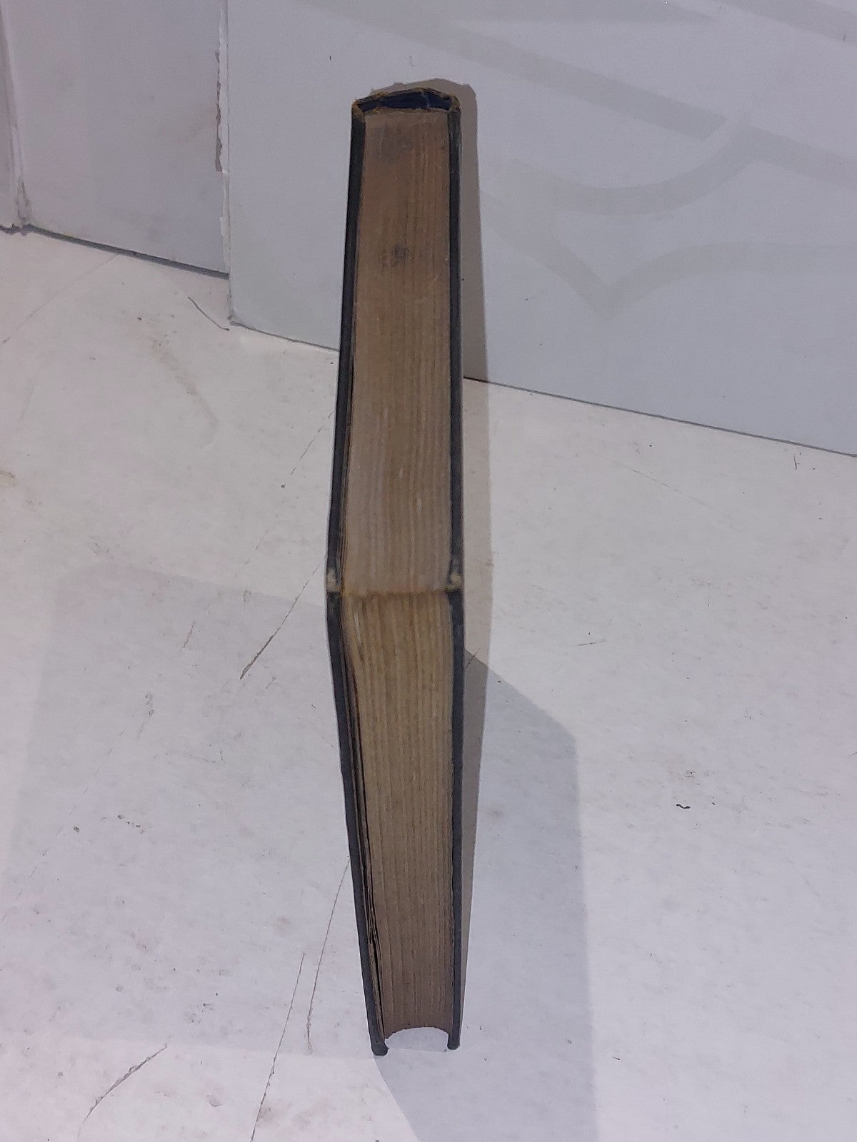 ENQUIRY CONCERNING PRINCIPLES OF NATURAL KNOWLEDGE by A. N. Whitehead 1st, 19191