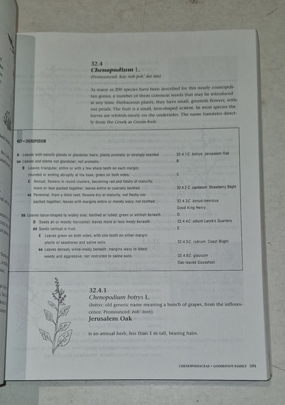 Roland's Flora of Nova Scotia Volume 1 & 2 by Marian Zinck Pb Book10